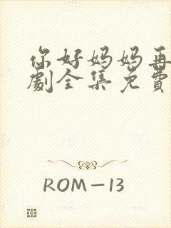 你好妈妈再见韩剧全集免费国语