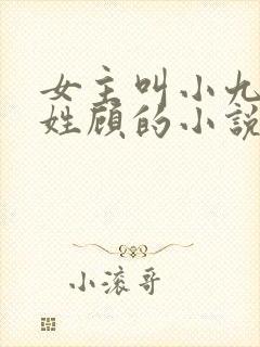 女主叫小九男主姓顾的小说