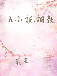 h小说,调教