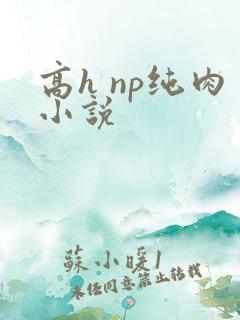 高h np纯肉小说