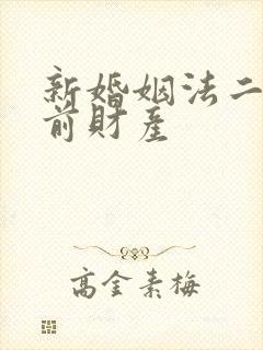 新婚姻法二婚婚前财产