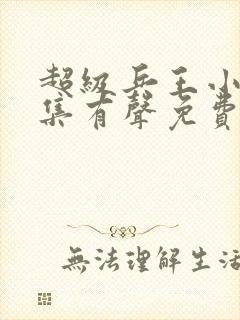 超级兵王小说全集有声免费听