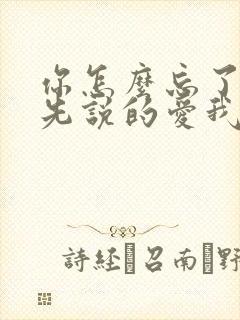 你怎么忘了是你先说的爱我是什么歌