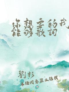 你想要的我却不能够歌词