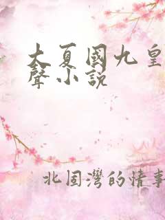 大夏国九皇子有声小说