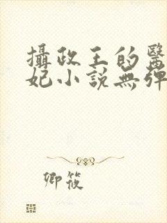 摄政王的医品狂妃小说无弹窗