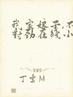 我家娘子,不太对劲在线小说免费阅读全文