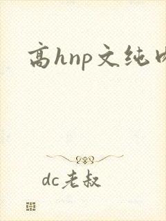 高hnp文纯肉
