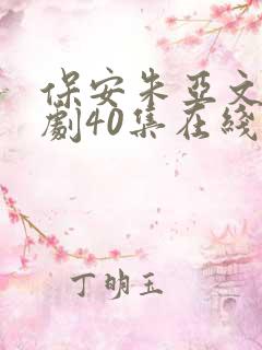 保安朱亚文电视剧40集在线观看