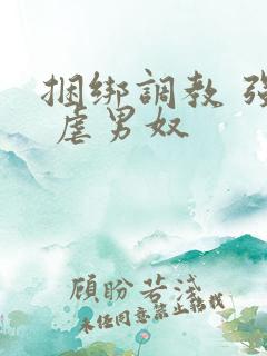 捆绑调教 强制 虐男奴