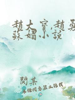 赵大宝,赵勇,苏媚小说