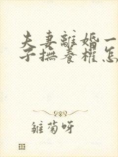 夫妻离婚一个孩子抚养权怎么判定