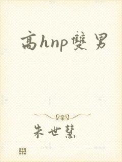 高hnp双男