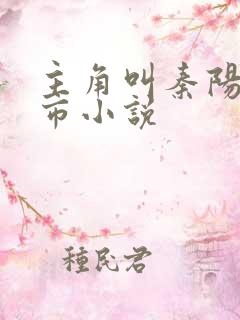 主角叫秦阳的都市小说