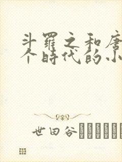 斗罗之和唐晨一个时代的小说