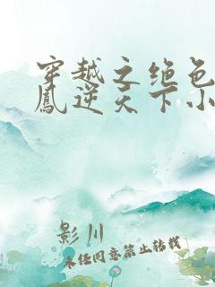 穿越之绝色兽妃凤逆天下小说