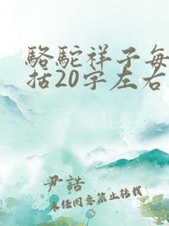 骆驼祥子每章概括20字左右