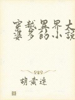 穿越异界大陆老婆多的小说