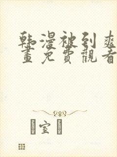 韩漫被到爽流漫画免费观看