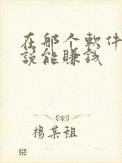 在那个软件写小说能赚钱