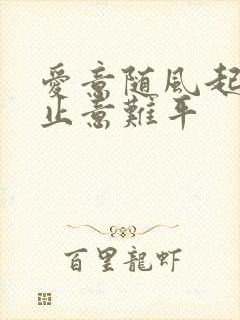 爱意随风起,风止意难平