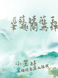 《苏晓薇王盛辉笔趣阁无弹窗》