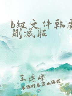 b级文件韩剧无删减版
