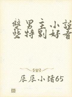 双男主小说有哪些特别好看的短篇