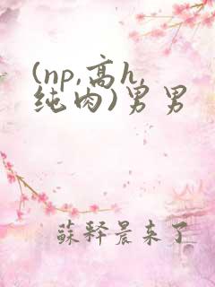(np,高h,纯肉)男男
