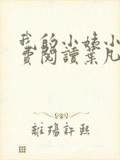 我的小姨小说免费阅读叶凡