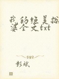 我的绝美总裁老婆全文txt