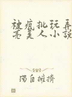 被疯批玩弄的漂亮美人小说阅读