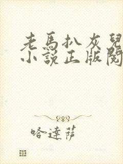 老马扒灰儿媳妇小说正版阅读