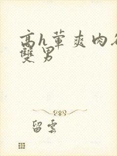 高h荤爽肉欲文双男