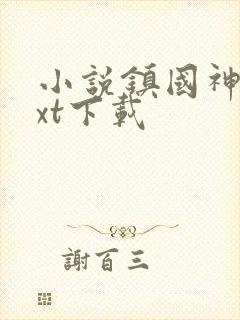 小说镇国神婿txt下载