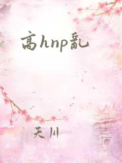 高hnp乱