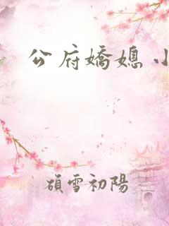 公府娇媳 小说