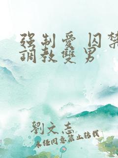 强制爱 囚禁 调教双男