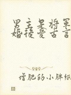 男主是将军的先婚后爱古言