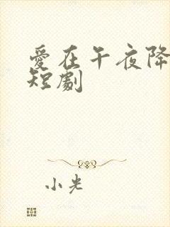 爱在午夜降临前短剧