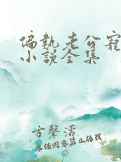 偏执老公宠上天小说全集