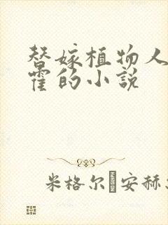 替嫁植物人的姓霍的小说