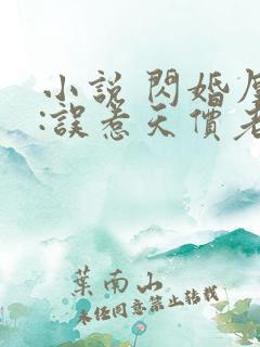 小说 闪婚厚爱:误惹天价老公