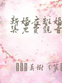 新婚夜离婚时全集免费观看