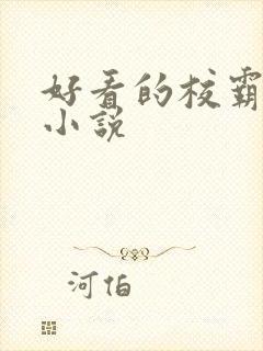 好看的校霸校园小说