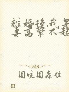 离婚后,我是前妻高攀不起的神 小说