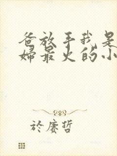 爸放手我是你媳妇最火的小说