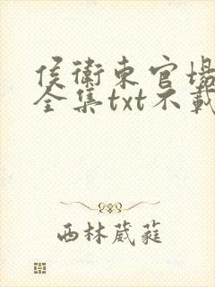 侯卫东官场笔记全集txt不载