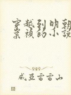 穿越到明朝成为崇祯的小说