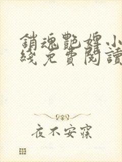 销魂艳婢小说在线免费阅读